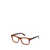 Moncler Moncler Eyeglasses Brown