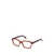 Moncler Moncler Eyeglasses Brown