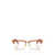 MIU MIU EYEWEAR Miu Miu Eyewear Eyeglasses CARAMEL TRASPARENT