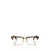 MIU MIU EYEWEAR Miu Miu Eyewear Eyeglasses HONEY HAVANA