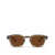 Moscot Moscot Eyeglasses BROWN ASH