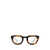 Moscot Moscot Eyeglasses TORTOISE/BLACK