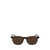 Lacoste Lacoste Sunglasses Brown