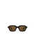 ZEGNA Zegna Sunglasses BLACK / HAVANA