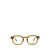 Moscot Moscot Eyeglasses OLIVE BROWN