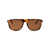 Tom Ford Tom Ford Sunglasses 55E AVANA COLORATA / MARRONE