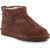 Bearpaw Shorty Cocoa Brown