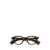 Moscot Moscot Eyeglasses TORTOISE