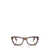 Persol Persol Eyeglasses Brown