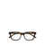 Saint Laurent Saint Laurent Eyewear Eyeglasses Brown