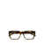 Saint Laurent Saint Laurent Eyewear Eyeglasses Brown