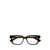 Bottega Veneta Bottega Veneta Eyeglasses Brown