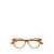 Bottega Veneta Bottega Veneta Eyeglasses BROWN