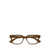 Bottega Veneta Bottega Veneta Eyeglasses BROWN