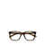 Saint Laurent Saint Laurent Eyewear Eyeglasses Brown