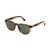 Police Police Sunglasses BROWN