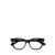 Bottega Veneta Bottega Veneta Eyeglasses Brown