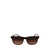 Lacoste Lacoste Sunglasses Brown