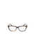 Lacoste Lacoste Eyeglasses Brown