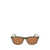 Lacoste Lacoste Sunglasses MATTE KHAKI