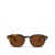 Moscot Moscot Eyeglasses CLASSIC HAVANA