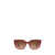 Ralph Lauren Ralph Lauren Sunglasses TRANSPARENT BORDEAUX