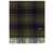 Barbour BARBOUR BRADEN TARTAN GREEN BLUE SCARF Green