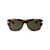 Gucci Gucci Sunglasses HAVANA-HAVANA-GREEN