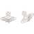 Vivienne Westwood Earrings PALLADIUM