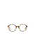 PETER AND MAY Peter And May Eyeglasses YELLOW TORTOISE