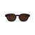 Gucci Gucci Sunglasses HAVANA-YELLOW-BROWN