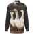 Moschino Moschino Shirts Brown