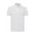 ETRO Etro Polo Roma Printed WHITE