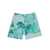 LANEUS Laneus Côte d'Azur Cotton Shorts Green