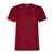 Alexander McQueen Alexander Mcqueen T-shirts And Polos Red N/A