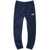 The North Face Slim Fit Joggers BLUE