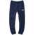 The North Face Slim Fit Joggers BLUE