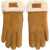 UGG Turn Cuff Glove Brown