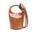 JACQUEMUS Jacquemus Le Petit Tourni Leather Bucket Bag Brown