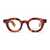 Max Pittion Max Pittion Eyeglasses TORTOISE