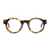 TOFFOLI COSTANTINO Toffoli Costantino T053 Eyeglasses Brown
