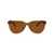 Miu Miu Miu Miu Sunglasses Brown