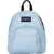 JanSport Half Pint Backpack Blue