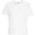 Department Five T-shirt 'Moxsy' White