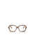 MIU MIU EYEWEAR Miu Miu Eyewear Eyeglasses HAVANA HONEY