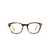 EYEPETIZER Eyepetizer Eyeglasses DARK AVANA