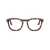 Persol Persol Eyeglasses Brown