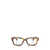 MIU MIU EYEWEAR Miu Miu Eyewear Eyeglasses HAVANA HONEY