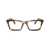 MIU MIU EYEWEAR Miu Miu Eyewear Eyeglasses HAVANA HONEY