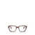 Persol Persol Eyeglasses Brown